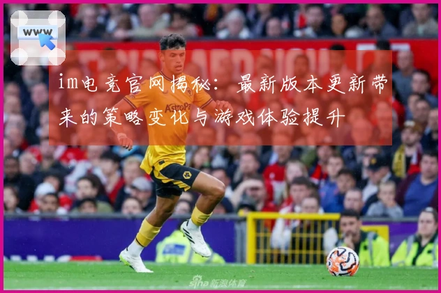 im电竞官网揭秘：最新版本更新带来的策略变化与游戏体验提升