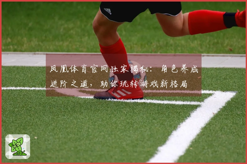 凤凰体育官网独家揭秘：角色养成进阶之道，助你玩转游戏新格局